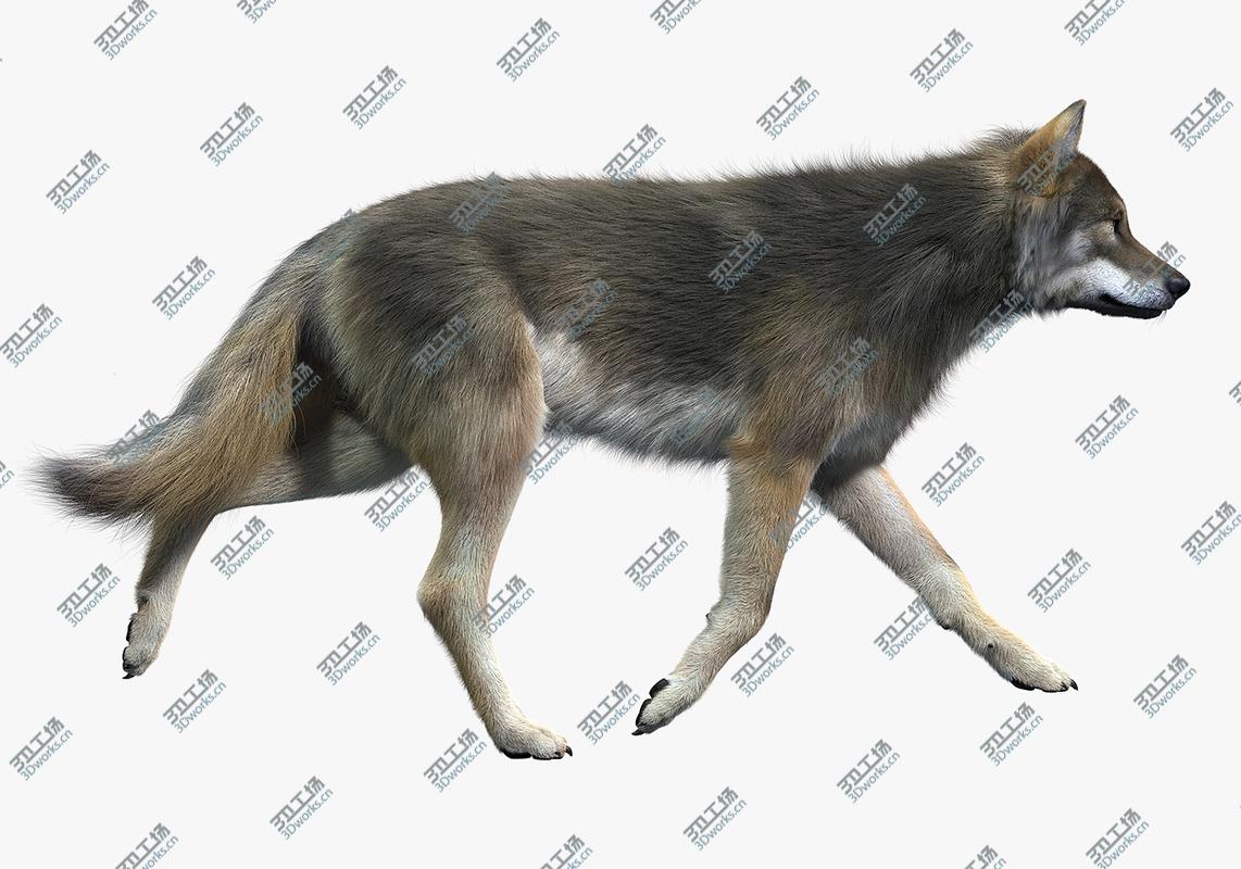 images/goods_img/2021040232/Gray Wolf(2)(FUR)(ANIMATED)/4.jpg